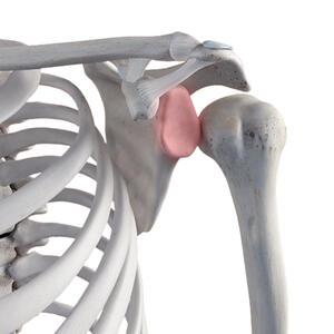 lesione rotatori lesione rotatori