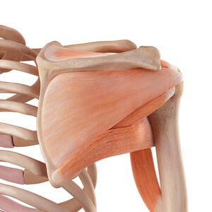 lesione rotatori lesione rotatori